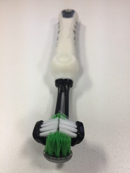 Brosse à dents EZ DOG pour chien